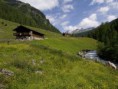 /album/defereggental-im-sommer/sommer3-jpg/